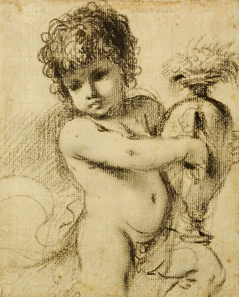 A Putto with a Vase (black chalk on paper)