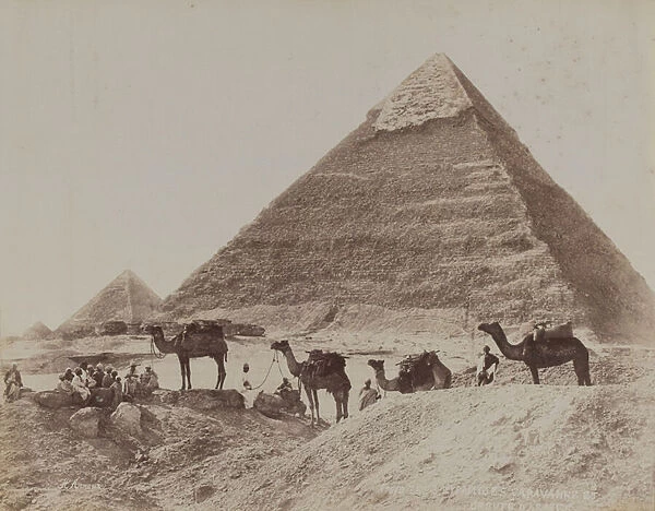 Pyramid, Egypt, 1893 (b  /  w photo)