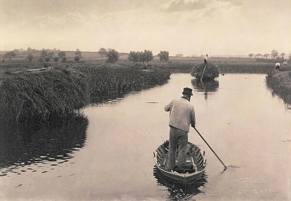 Quartering the Marsh Hay, Life and Landscape on the Norfolk Broads, c. 1886 (photo)