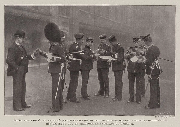 Queen Alexandras St Patricks Day Remembrance to the Royal Irish Guards, Sergeants distributing Her Majestys Gift of Shamrock after Parade on 17 March (b  /  w photo)