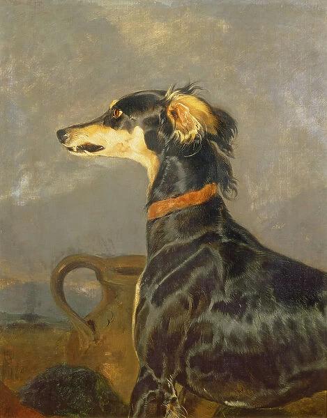 Queen Victorias Favourite Dog, Eos (oil on canvas)