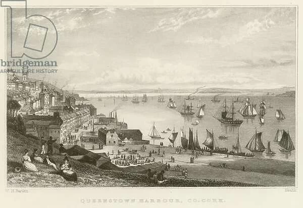 Queenstown harbour (engraving)