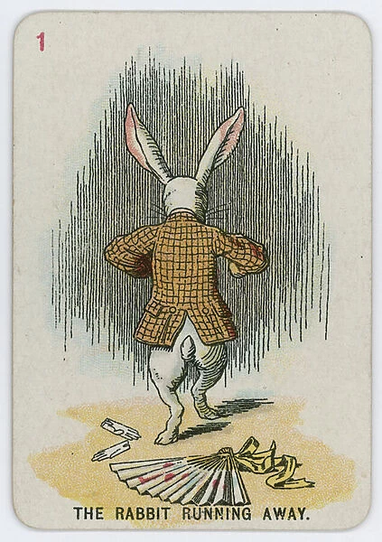 The Rabbit running away