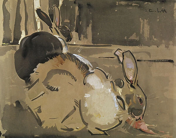 Two Rabbits, One Eating Carrots (wash and bodycolour on paper)
