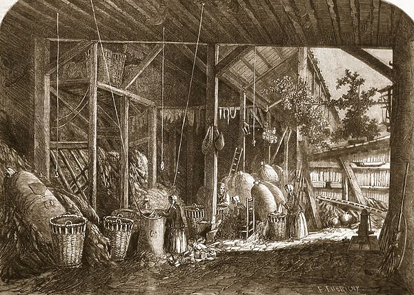 A Rag-warehouse in the Quartier Mouffetard, at Paris, illustration from