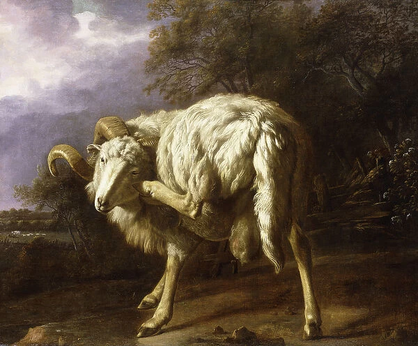 A Ram in a Wooded Landscape, (oil on canvas)