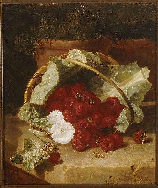 Raspberries in a Cabbage Leaf Lined Basket with White Convulvulus on a Stone Ledge
