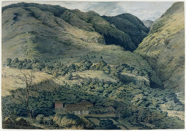 Ravine and River at St. Denis, Bourbon, 1814 (w  /  c on paper)