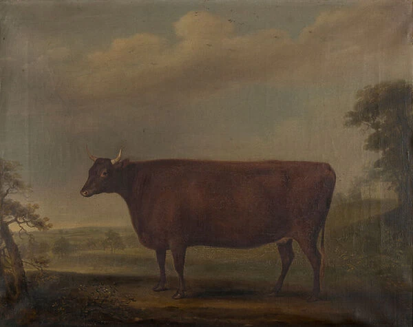 Red Devon Heifers in landscape, c. 1812 (oil on canvas)