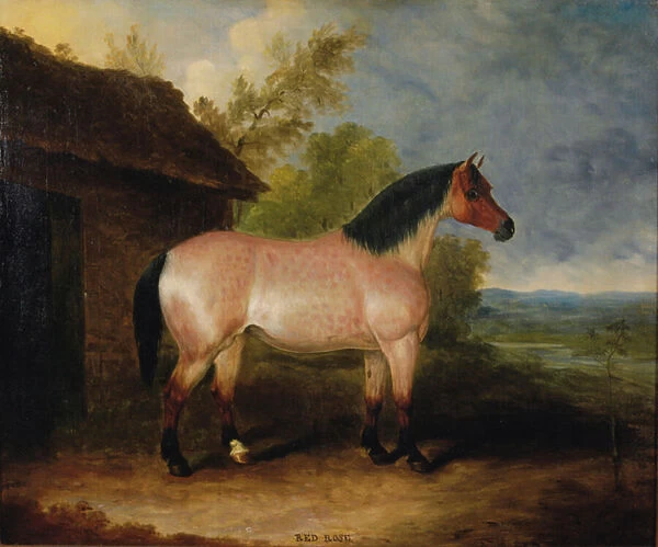 Red Rose, before a stable (oil on canvas)