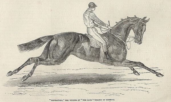 Refraction, the winner of The Oaks, from The Illustrated London News