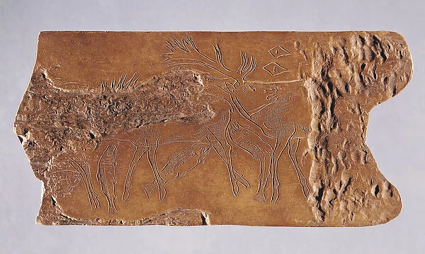 Reindeer horn carved with deer and leaping salmon, from the Grotte de Lortet, Magdalenian