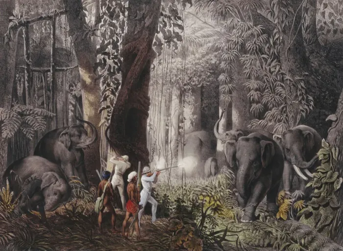 Framed Print : Reise... in Ost-Indien, Ceylon, Java, China und Bengalen (hand-tinted lithographs)