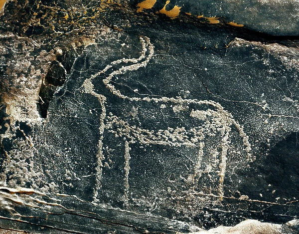 Representation of an antelope. Stone Age 5000-2000 BC. (engraved rock)