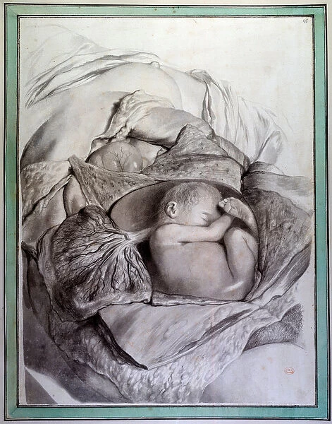 Representation of a fetus of a human being in a uterus Engraving by Gerard de Lairesse