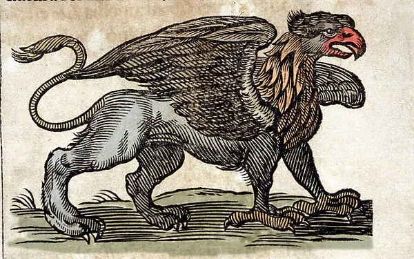 Representation of a griffon, fantastic creature half eagle half lion