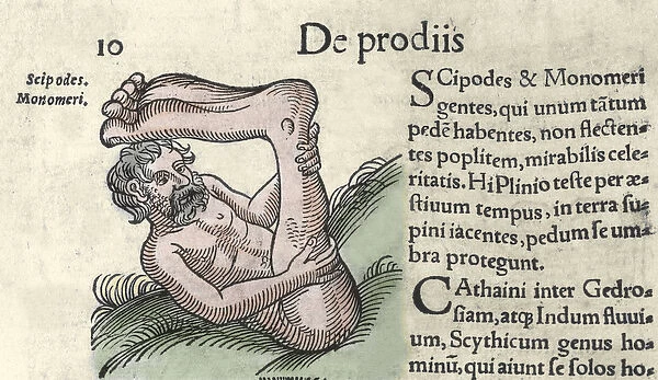 Representation of a Sciapod monster Engraving from '