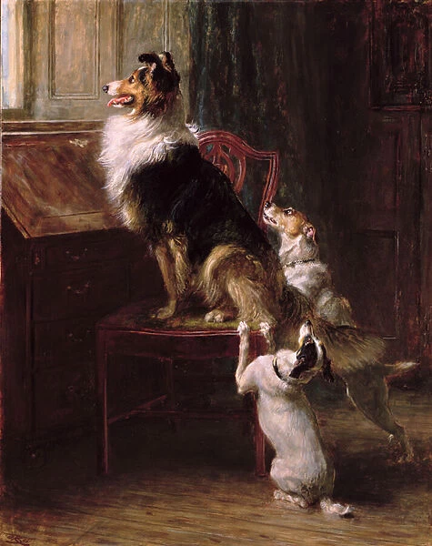 A Reserved Seat, 1901 (oil on canvas)