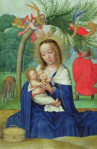The Rest on the Flight into Egypt, miniature from the Norfolk Book of Hours (vellum)