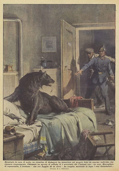 Returning home at night, a citizen of Budapest caught a glimpse on his bed a huge... (colour litho)