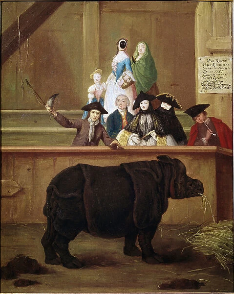 Rhinoceros: exhibition of Clara, Indian rhinoceros. Painting by Pietro Longhi (1702-1785)