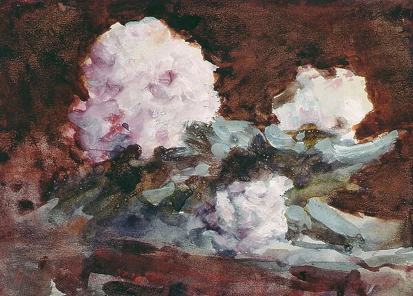 Rhododendrons (watercolour)