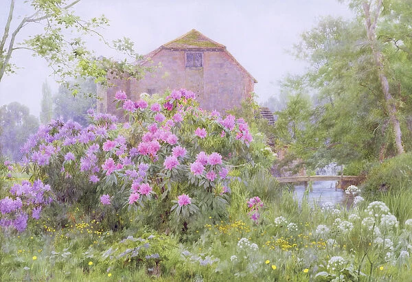 Rhododendrons by a watermill (w  /  c)