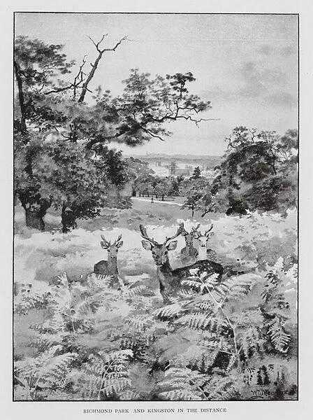 Richmond Park and Kingston in the distance (litho)
