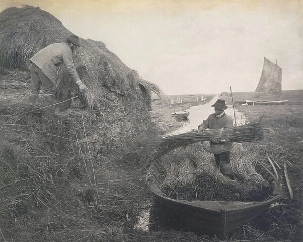 Ricking the Reed, Life and Landscape on the Norfolk Broads, c. 1886 (photo)