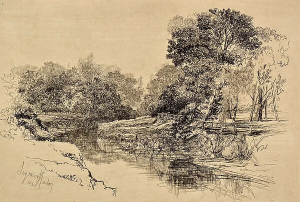 A River in Ireland, 1864 (etching)