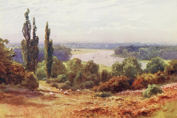 River Thames: The Thames, from Richmond Hill (colour litho)