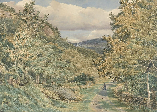 A Road near Bettws-y-Coed, 1851 (w  /  c over graphite on paper)