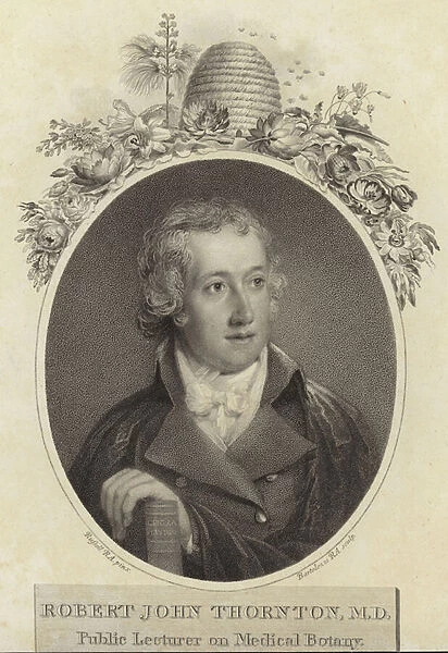Robert John Thornton (engraving)
