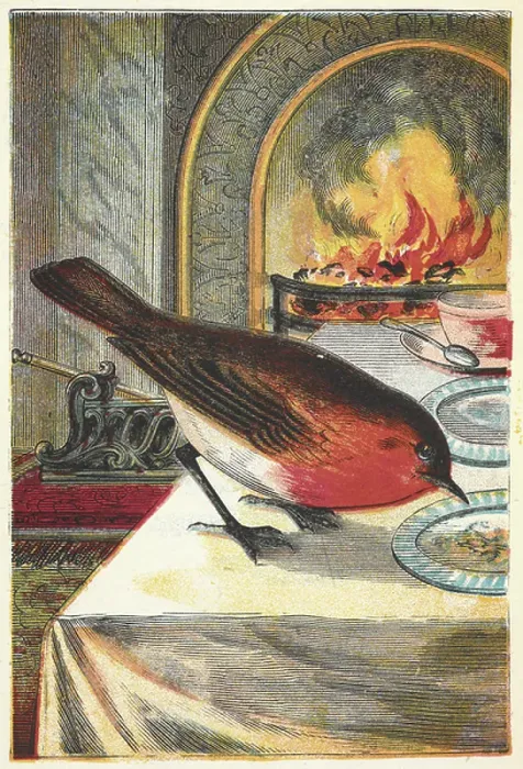 Framed Print : A robin eating from a table in front of a fire Framed Print : A robin eating from a table in front of a fire