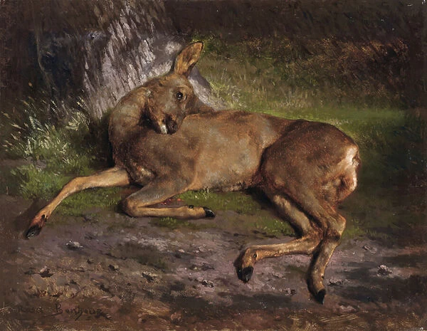 A roe deer in the forest (oil on canvas)