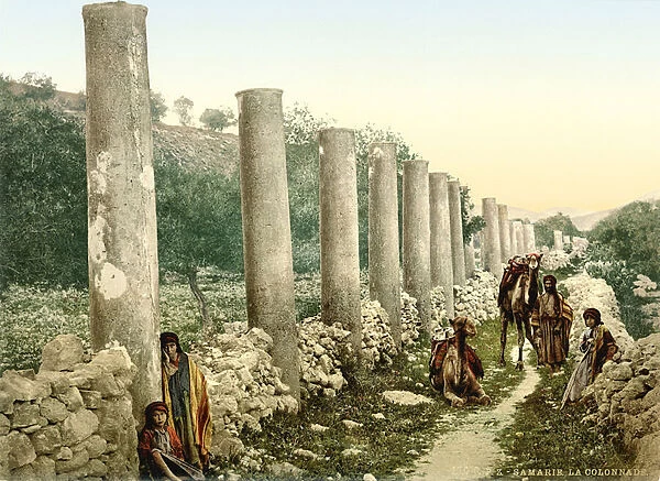 Roman colonnaded street at Samaria, c. 1880-1900 (photochrom)