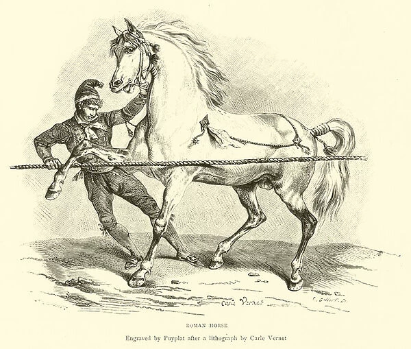 Roman Horse (engraving)
