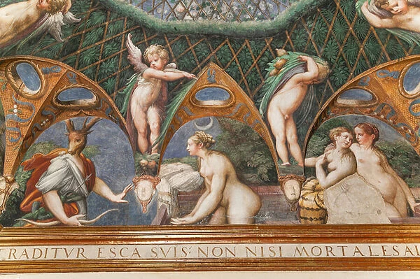 Room of Diana and Actaeon, detail of 2384753, 1524
