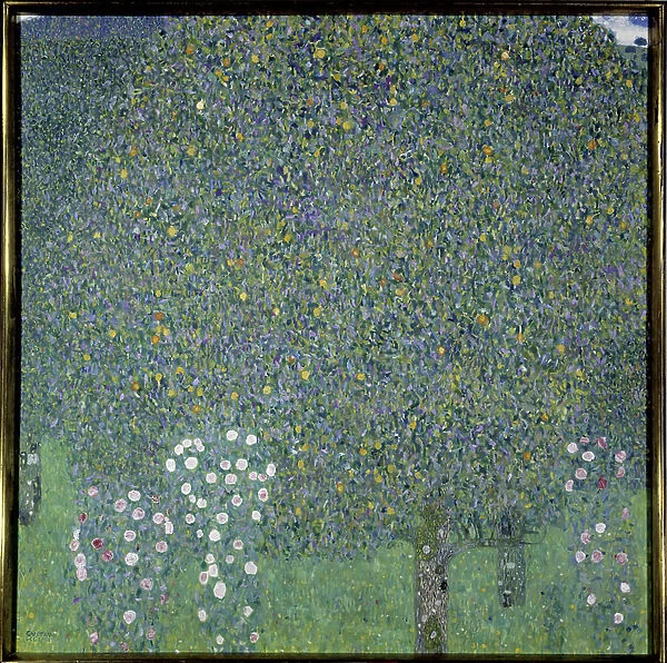 Rosebushes under the trees, 1905 (oil on canvas)