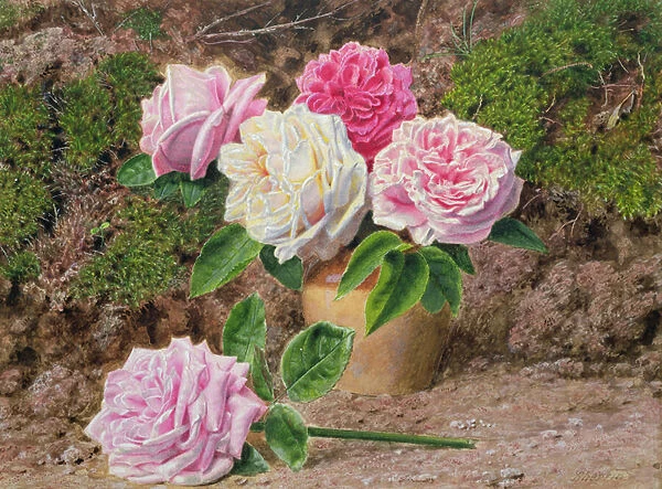 Roses in an Earthenware Vase by a Mossy Bank (w  /  c on paper)