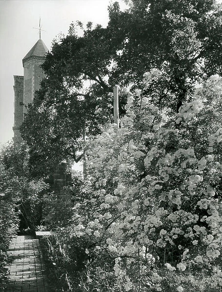 Roses growing against the old walls with the Tower behind, Sissinghurst Castle, from The English Manor House (b / w photo)