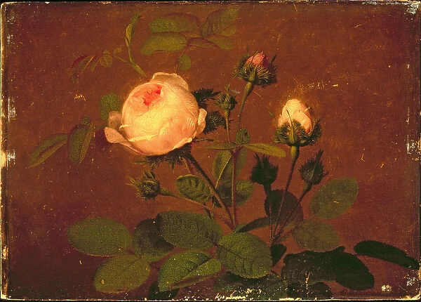 Roses, Roses (oil on panel)