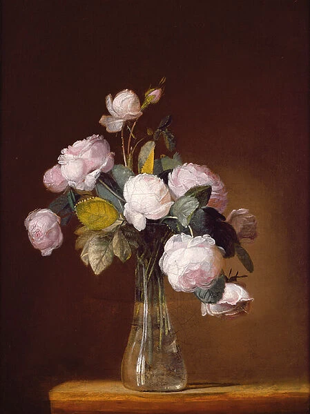 Roses on a Stone Ledge (oil on canvas)