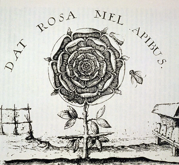 Rosicrucian Allegory, copy of an engraving by Johann Theodore de Bry (c