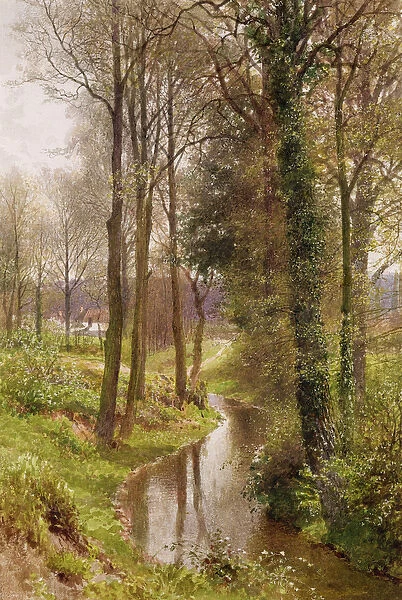 Round My House: The Mill Stream, Ockham, 1880-86 (w  /  c and gouache)
