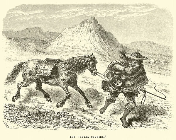 The 'Royal Courier'(engraving)