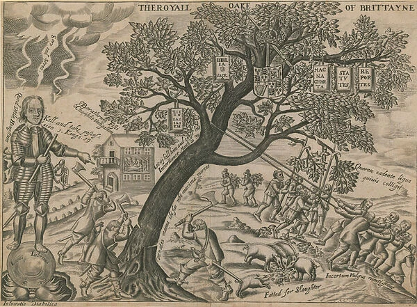 The royal oak of Britain (engraving)