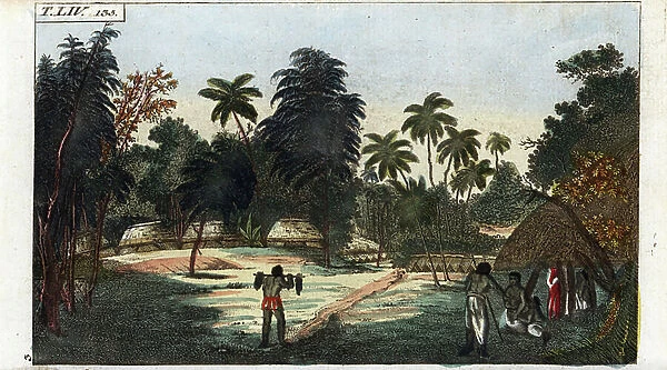 Royal sepultures surrounded by filaos on the Tonga Islands - Strong water extracted from the Encyclopedie of Natural History: Humanite, by Gottlieb Tobias Wilhelm (1758-1811)