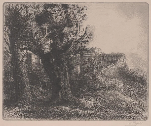 In the Ruins, mid 19th-early 20th century (etching)