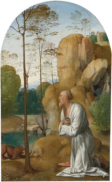 Saint Jerome dans le desert - Saint Jerome in the Wilderness par Bartolommeo
